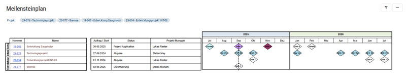 Multiprojekt Meilensteinplan, Meilensteinpläne im Multiprojektmanagement